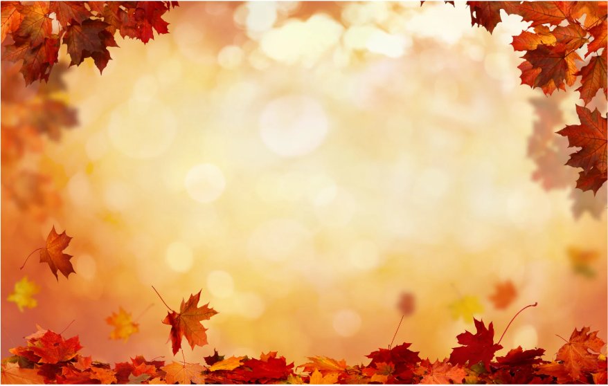 Fall Campaign 2025 Paramount Resources Ltd